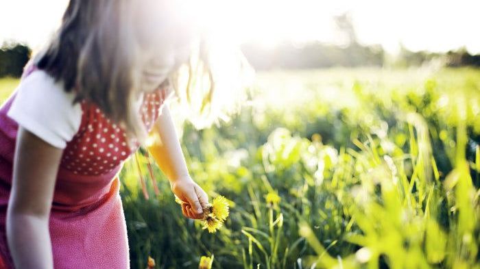 Must Ask Questions Before Choosing Your Flower Preservation Company
