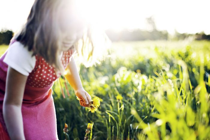 Must Ask Questions Before Choosing Your Flower Preservation Company